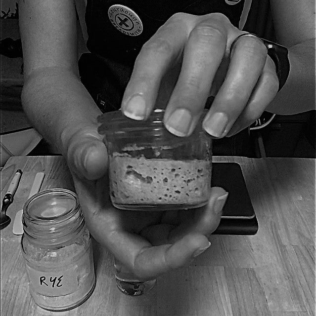 How to Make a Tiny Starter Sourdough Breadsmith